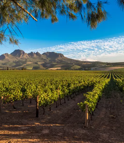 Winelands