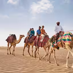 Desert Safari