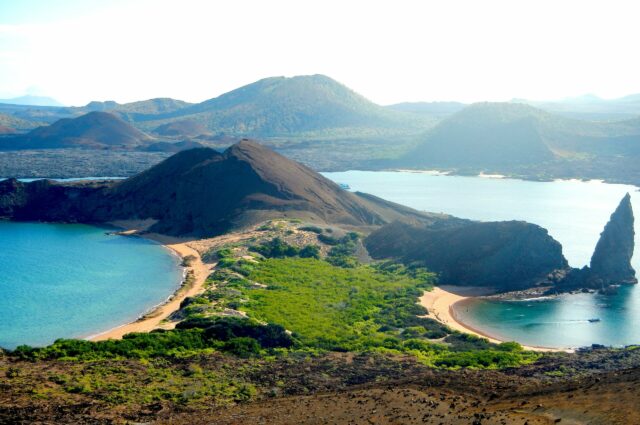 Galápagos Islands wildlife