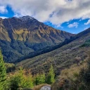 Ben Lomond Track